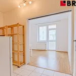 Rent 2 bedroom apartment of 45 m² in Brno