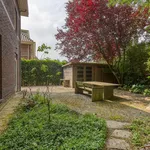 Rent 4 bedroom house of 220 m² in 's-Gravenhage