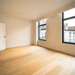 Appartement de 221 m² avec 2 chambre(s) en location à Ixelles