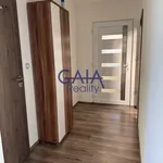 Rent 3 bedroom apartment of 74 m² in Krumvíř