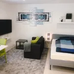 Rent 1 bedroom apartment of 28 m² in Stuttgart