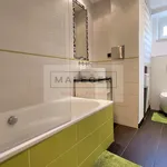 Rent 2 bedroom apartment of 50 m² in Praha