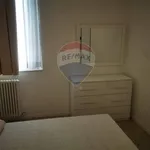 Affitto 3 camera appartamento di 80 m² in Bologna