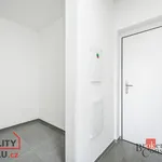 Rent 1 bedroom apartment of 40 m² in Vyškov