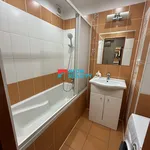 Rent 1 bedroom apartment in Ostrava