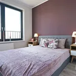 Rent 3 bedroom apartment of 62 m² in Wrocław