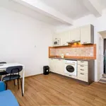 Studio o rozloze 30 m² v prague