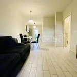 Rent 3 bedroom apartment of 58 m² in Lucca