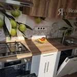 Rent 1 bedroom apartment in Ostrava