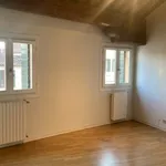 Rent 1 bedroom apartment of 100 m² in Padova