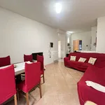 Rent 4 bedroom apartment of 100 m² in Viareggio