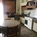 Rent 5 bedroom apartment of 120 m² in Trapani