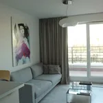 Rent 1 bedroom apartment of 31 m² in Wrocław