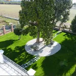 Rent 4 bedroom apartment of 90 m² in Fossano