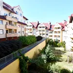 Rent 3 bedroom apartment of 67 m² in Rzeszów