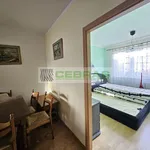 Rent 3 bedroom apartment of 84 m² in České Budějovice