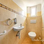 Rent 1 bedroom house of 822 m² in Capital City of Prague