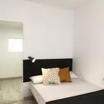 Rent 5 bedroom apartment in Madrid