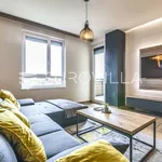 Rent 2 bedroom apartment of 65 m² in Zagreb