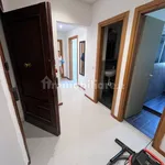 Rent 5 bedroom apartment of 100 m² in Perugia