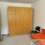 Rent 1 bedroom apartment of 23 m² in Brno