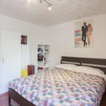 Rent a room of 100 m² in bologna