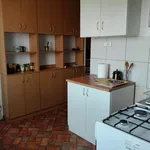 Rent 3 bedroom apartment of 59 m² in Łódź