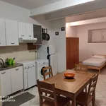 Rent 1 bedroom apartment of 35 m² in Collesalvetti