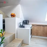 Rent 1 bedroom apartment of 48 m² in Hrušovany nad Jevišovkou