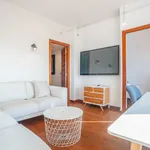 Rent 3 bedroom apartment of 65 m² in Barcelona