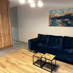 Rent 1 bedroom apartment of 32 m² in Łódź