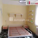 Rent 1 bedroom apartment of 40 m² in Mochov