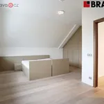 Rent 3 bedroom apartment of 195 m² in Brno