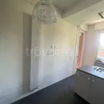 Affitto 5 camera appartamento di 167 m² in Bologna