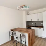 Rent 1 bedroom apartment of 40 m² in Plzeň