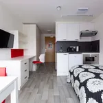 Rent 1 bedroom apartment in Coventry