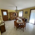 Rent 5 bedroom house of 139 m² in Ponte San Nicolò