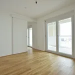 Rent 2 bedroom apartment of 35 m² in Puntigam