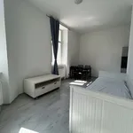 Rent 2 bedroom apartment of 38 m² in Brno