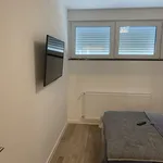 Miete 4 Schlafzimmer wohnung von 50 m² in Essen