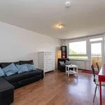 40 m² Studio in berlin