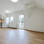 Pronajměte si 2 ložnic/e byt o rozloze 38 m² v Pilsen