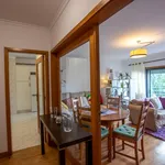 Rent 1 bedroom apartment in Porto