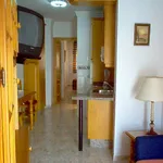 Rent 1 bedroom apartment of 38 m² in Malaga']