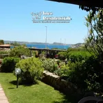 Rent 1 bedroom apartment of 50 m² in Palau