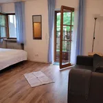 Rent 1 bedroom apartment of 28 m² in Lenggries