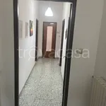 Rent 3 bedroom apartment of 100 m² in Avellino