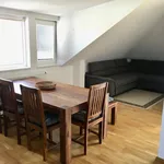 Rent 2 bedroom apartment of 105 m² in Třeboň