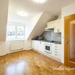 Pronajměte si 2 ložnic/e byt o rozloze 55 m² v Capital City of Prague