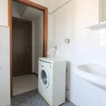 Rent 1 bedroom apartment of 36 m² in Lodi